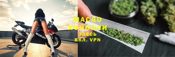 mix Инта