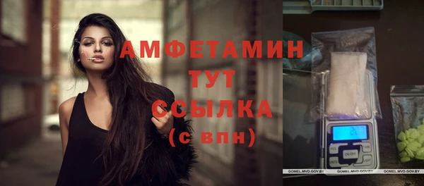 mix Инта
