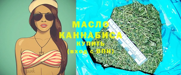 mix Инта