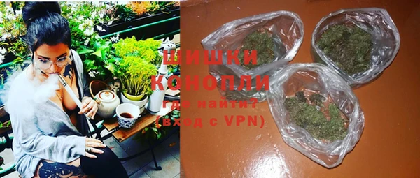 mix Инта