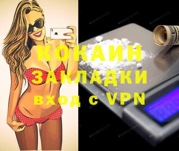 mix Инта