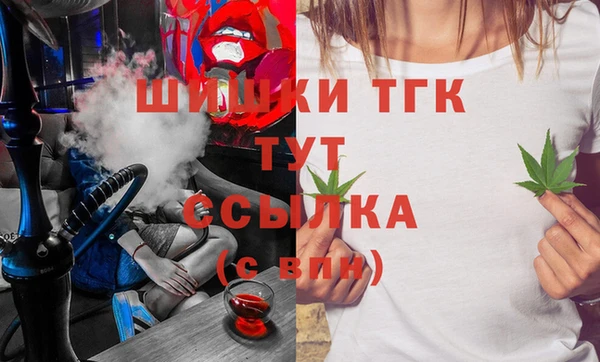 mix Инта