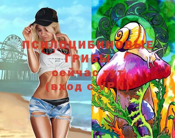 mix Инта