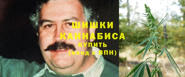 СК Каменногорск