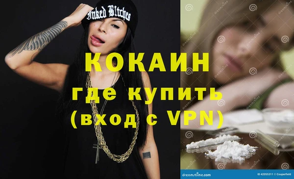 mix Инта