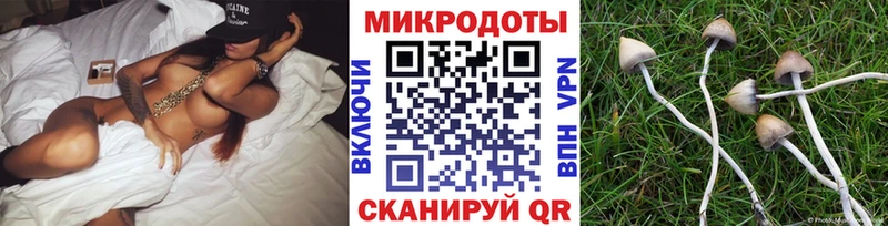 Галлюциногенные грибы мицелий  Купить  Белёв 