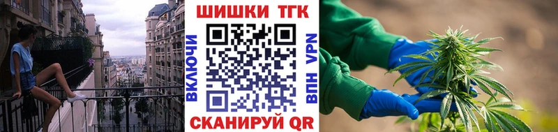 Купить где Белёв Канабис SATIVA & INDICA